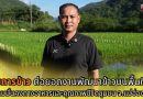 กรมการข้าว ต่อยอดงานพัฒนาข้าวบนพื้นที่สูง สู่ความมั่นคงทางอาหารและคุณภาพชีวิตชุมชน จ.แม่ฮ่องสอน